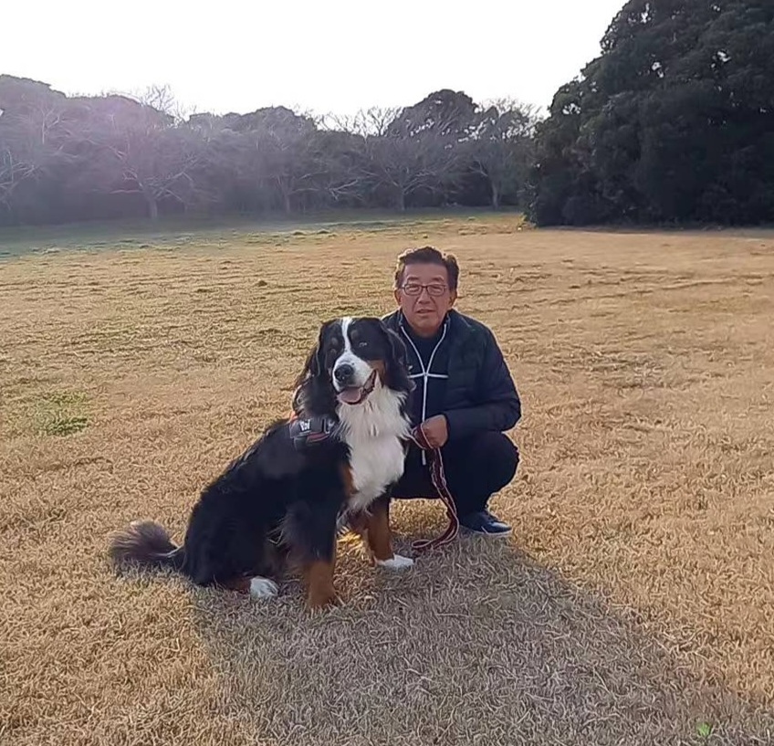 バーニーズマウンテンドッグ